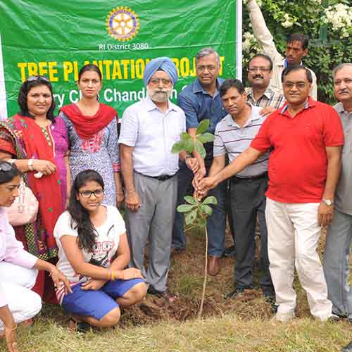 Tree Plantation at Chandigarh Club